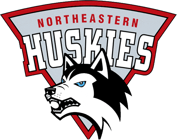 Northeastern Huskies 1992-2000 Primary Logo diy DTF decal sticker